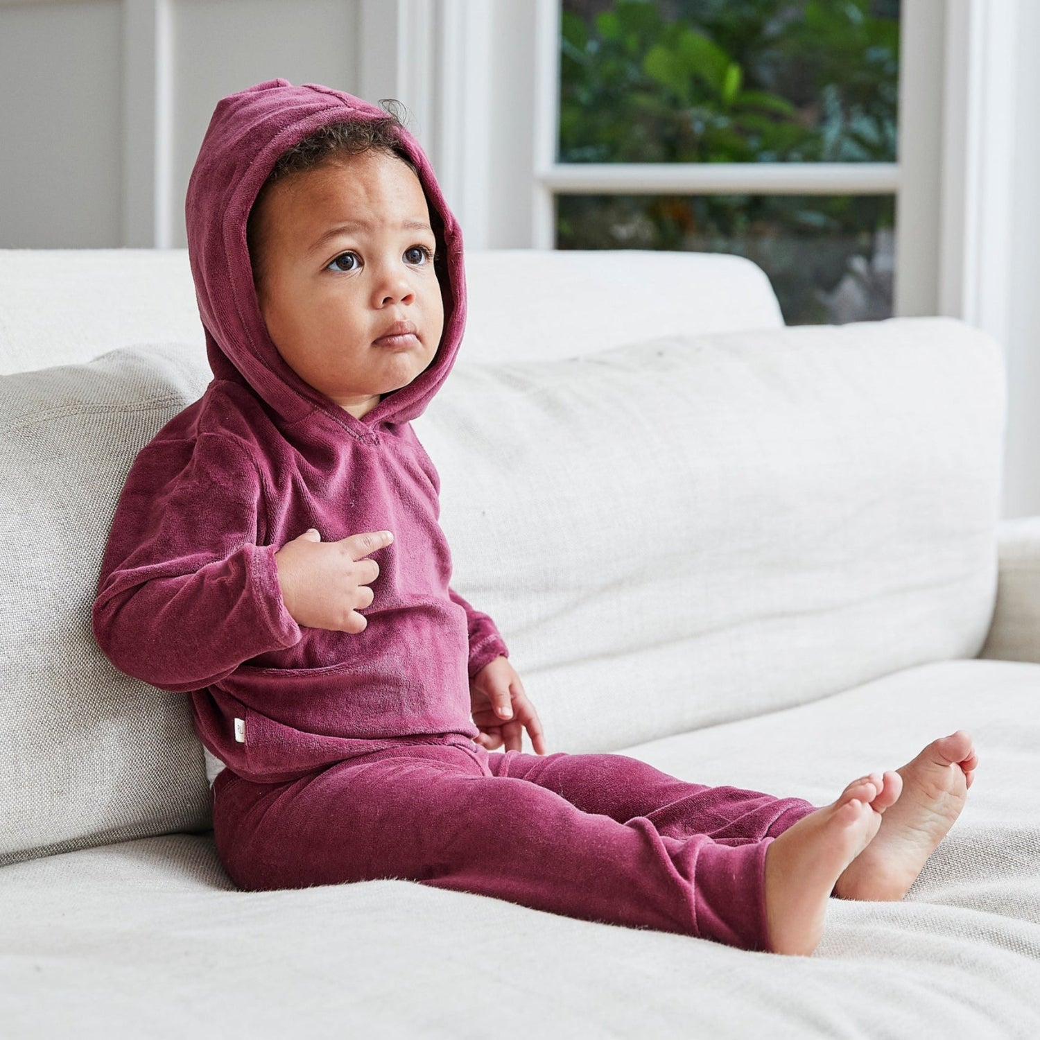 Velour Hoodie and Jogger Sets